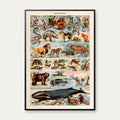 Millot Dyreillustrationer - Le Larousse pour tous – billede 1