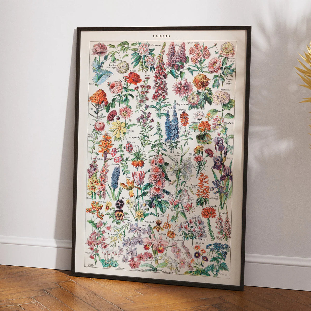 Millot Blomster - Le Larousse pour tous – billede 2