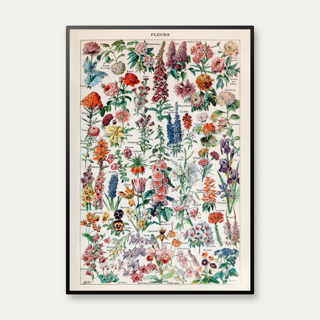 Millot Blomster - Le Larousse pour tous – billede 1