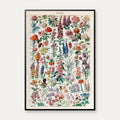 Millot Blomster - Le Larousse pour tous – billede 1
