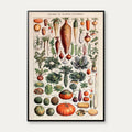 Millot: Grøntsager & kartoffelplanten - Le Larousse pour tous – billede 1