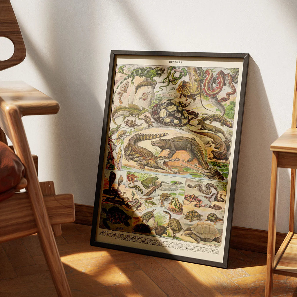 Millot: Reptiler 1932 - Naturhistorisk tavle – billede 3