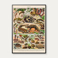Millot: Reptiler 1932 - Naturhistorisk tavle – billede 1