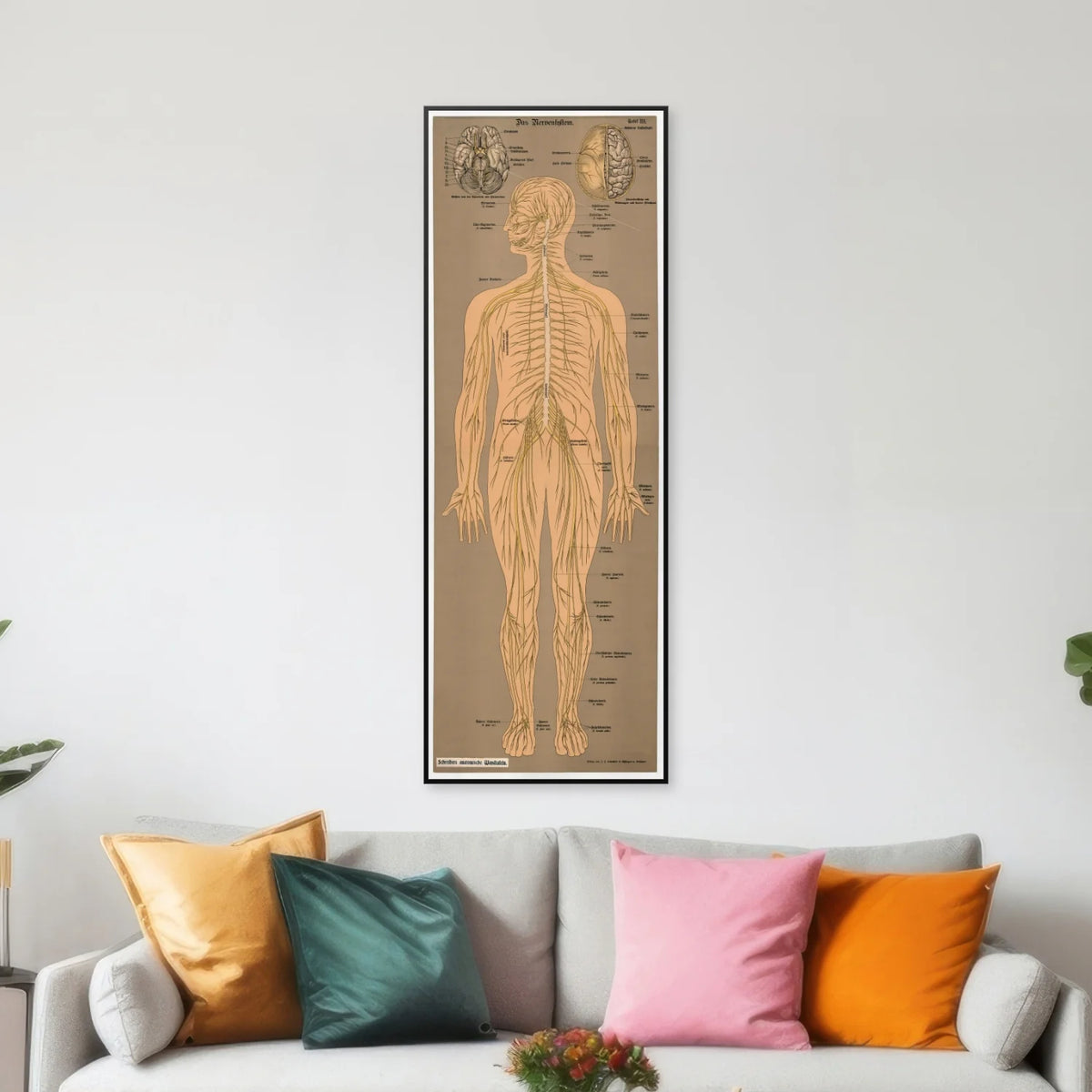Nervesystemet 1902 - Anskuelsesbillede - 50×139 cm – billede 3