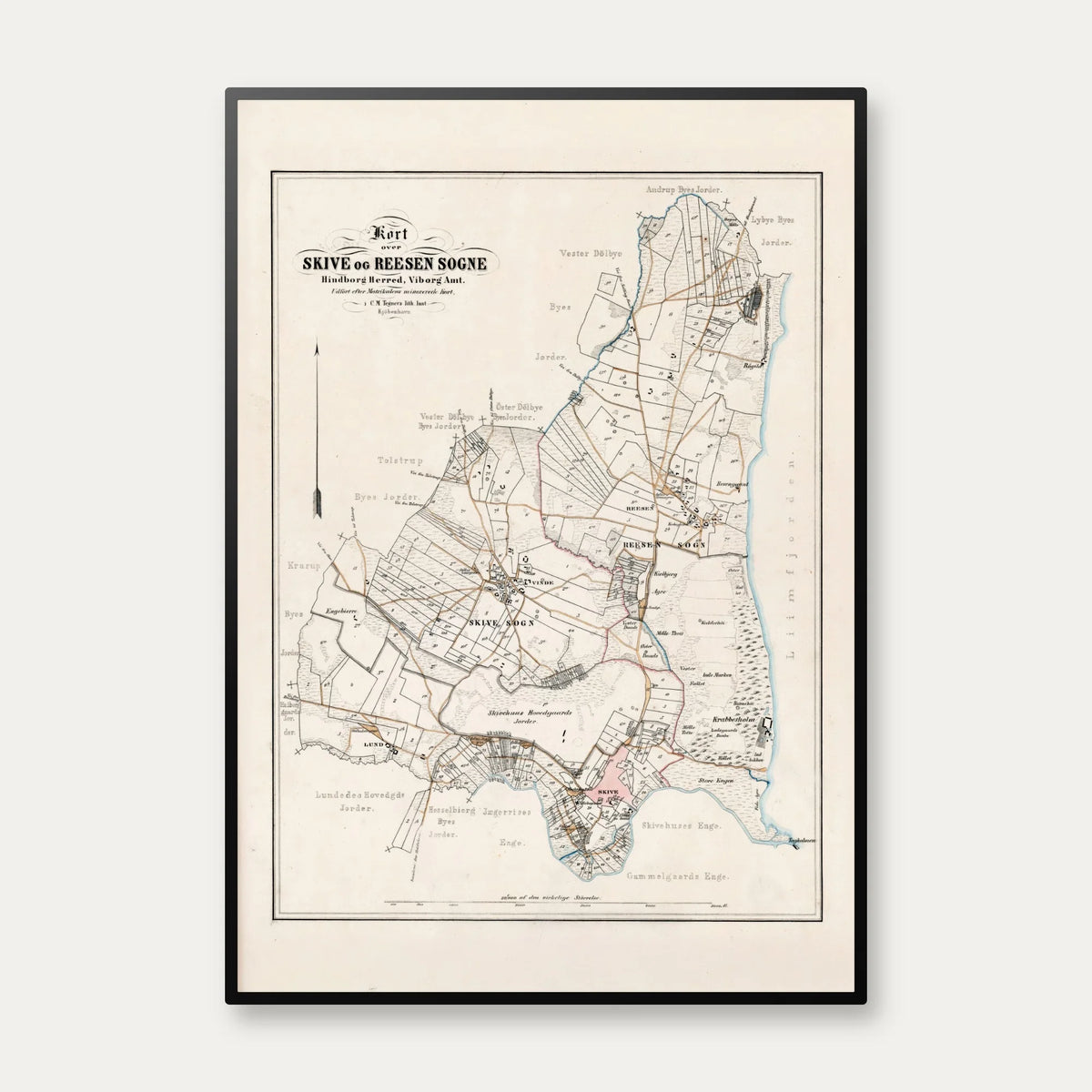 Skive & Reesen Sogne 1860-80 - Matrikelkort – billede 1