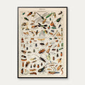 Millot: Insekter - Le Larousse pour tous – billede 1