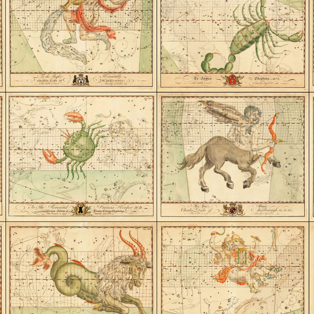 Zodiakens stjernekort - Samlet tavle - 80×52 cm – billede 3