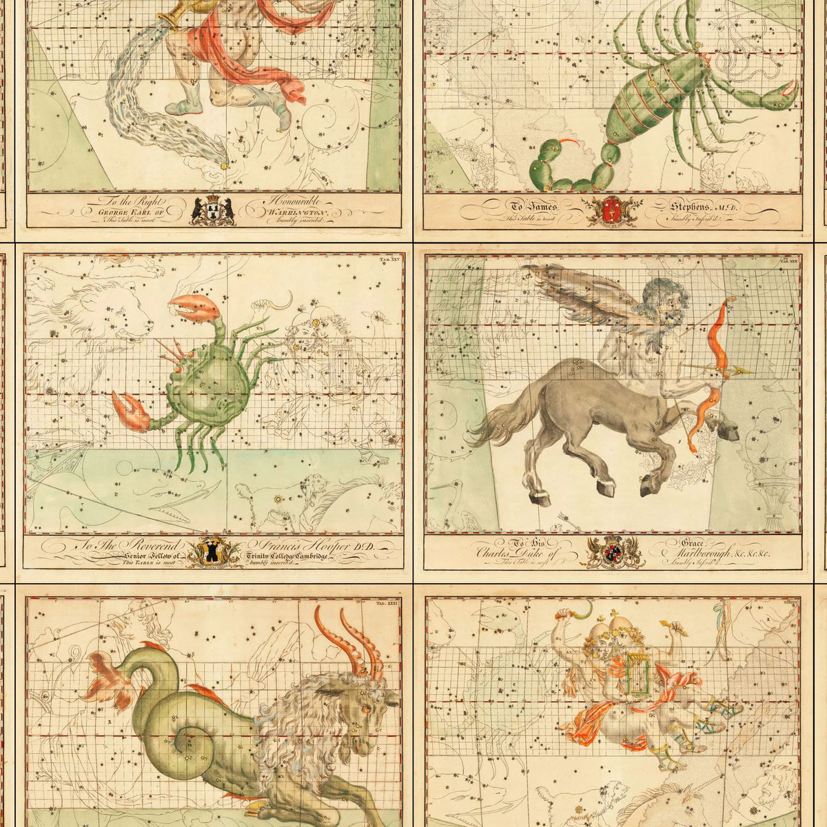 Zodiakens stjernekort - Samlet tavle - 80×52 cm – billede 3
