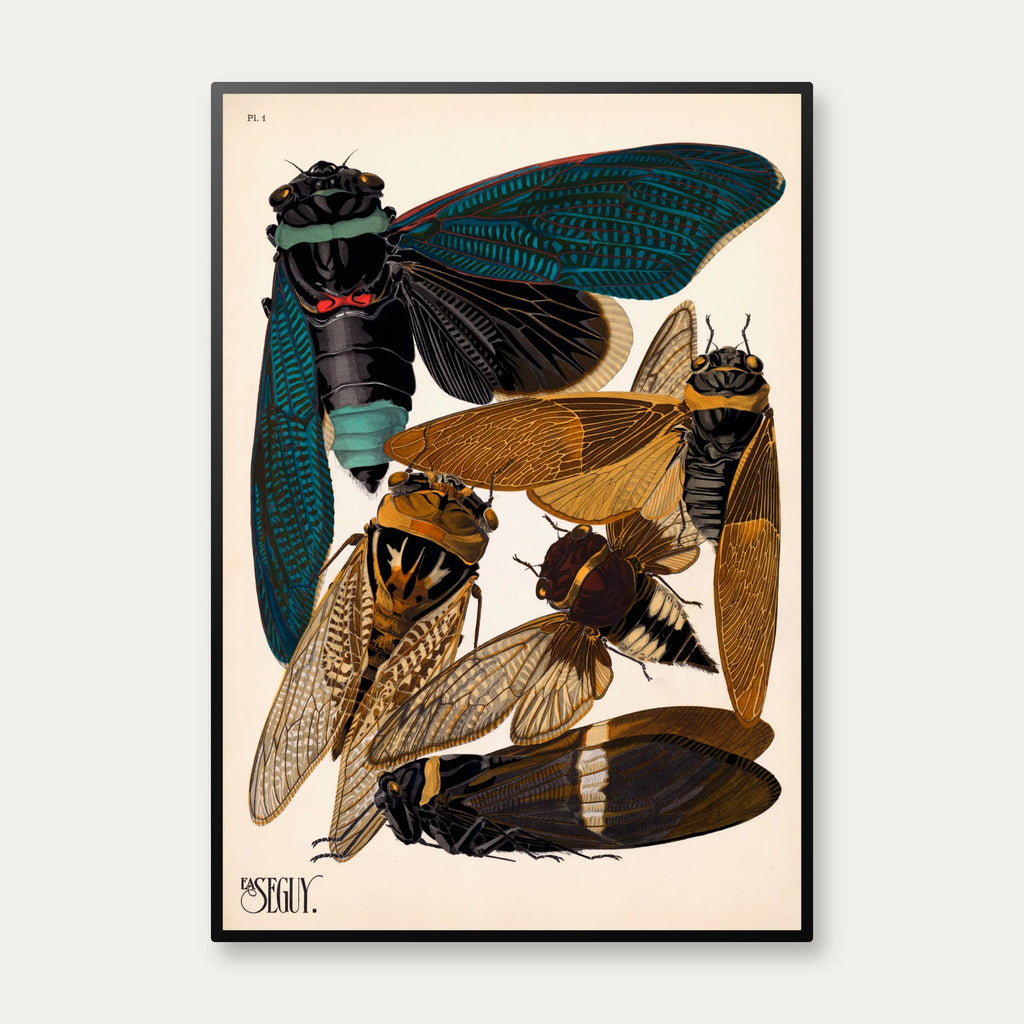 Cikader - Insektplakat I - E.A. Seguy – billede 1