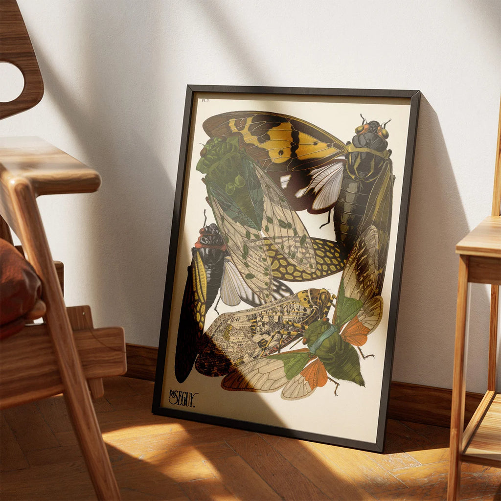 Cikader - Insektplakat II - E.A. Seguy – billede 3