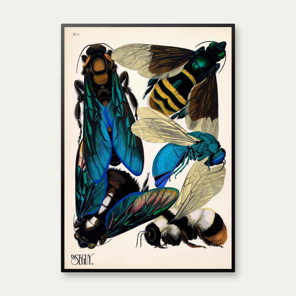 Hvepse - Insektplakat V - E.A. Seguy – billede 1