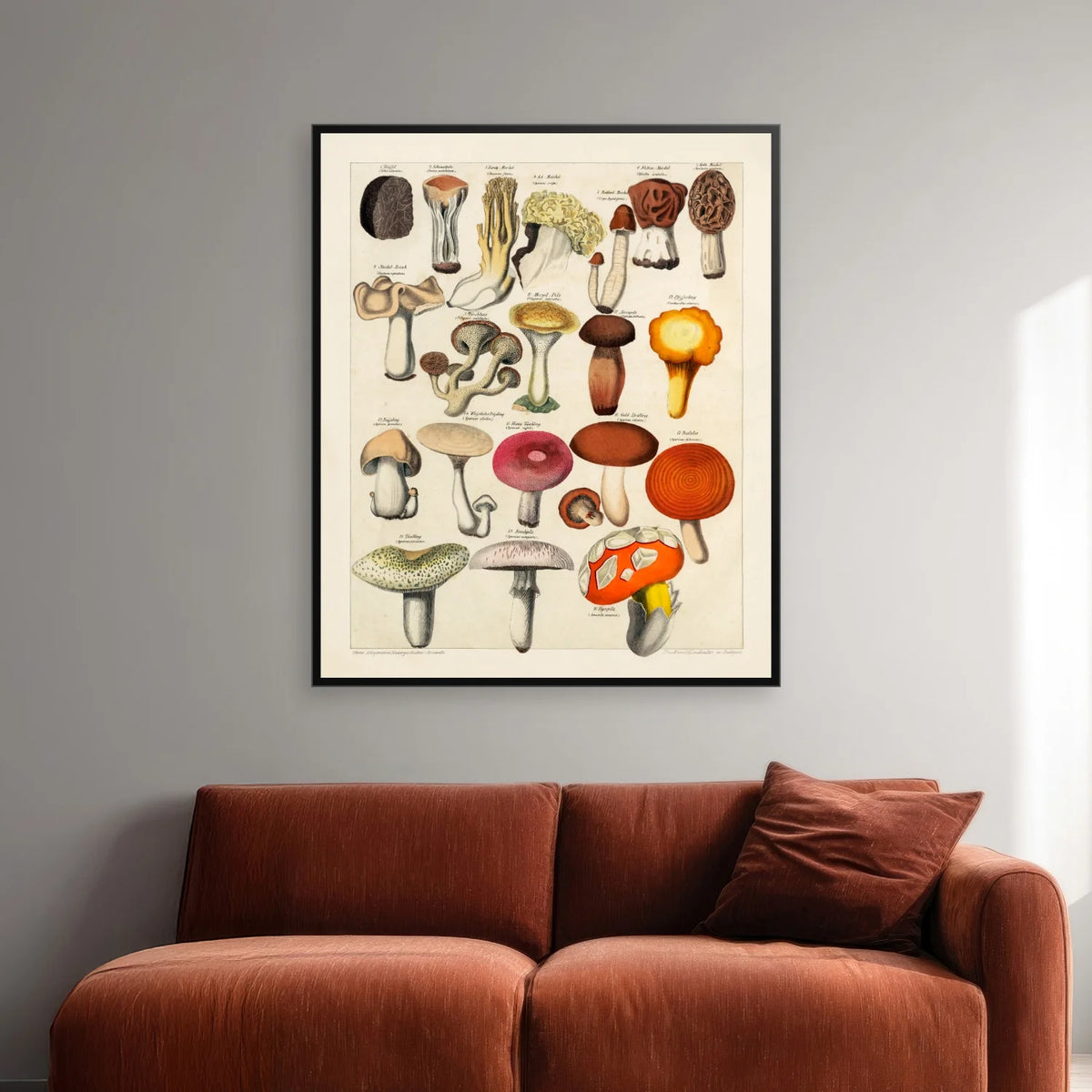 Spiselige svampe 1846 - Botanisk tavle - 50×60 cm – billede 2