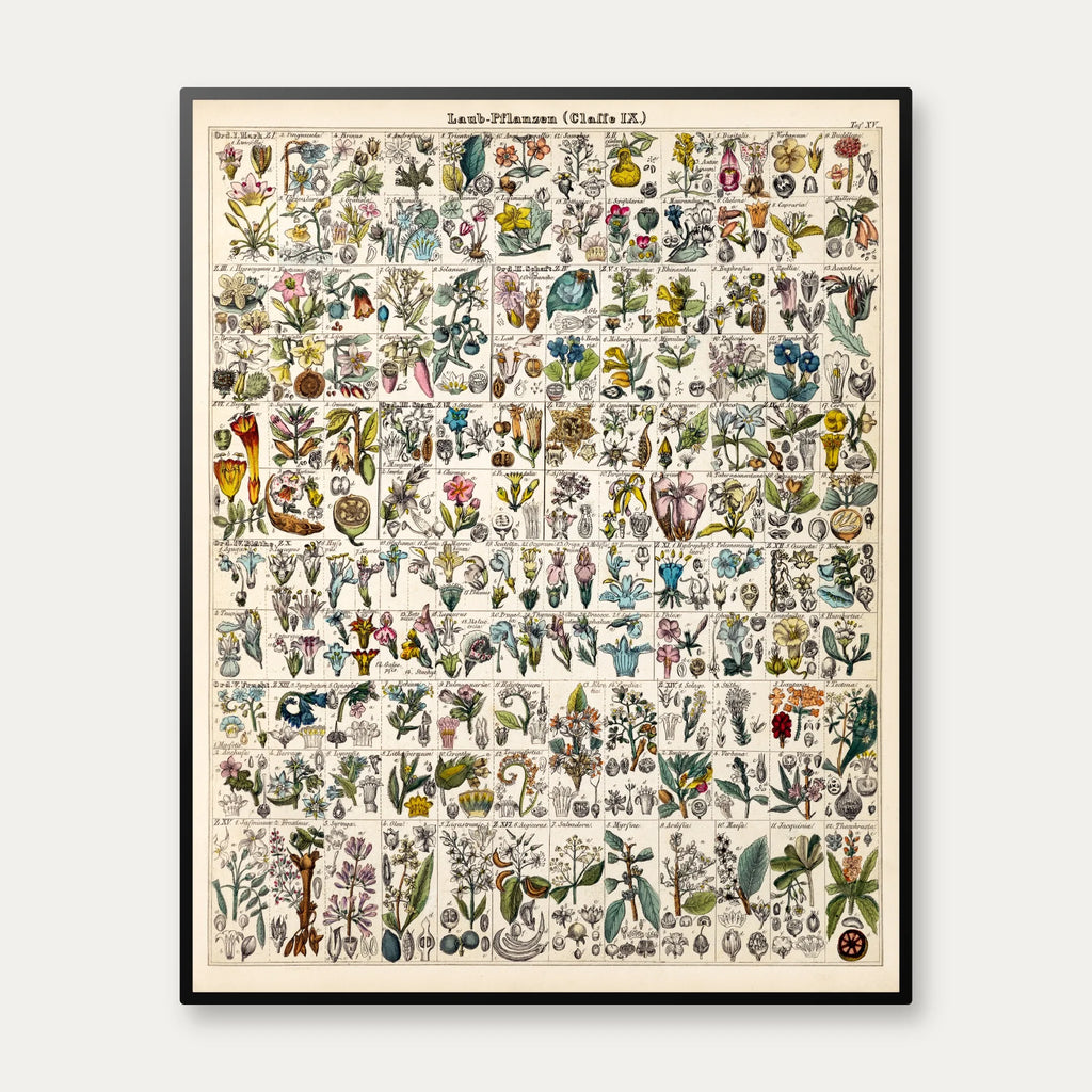Bladplanter 1846 - Botanisk tavle - 56×70 cm – billede 1