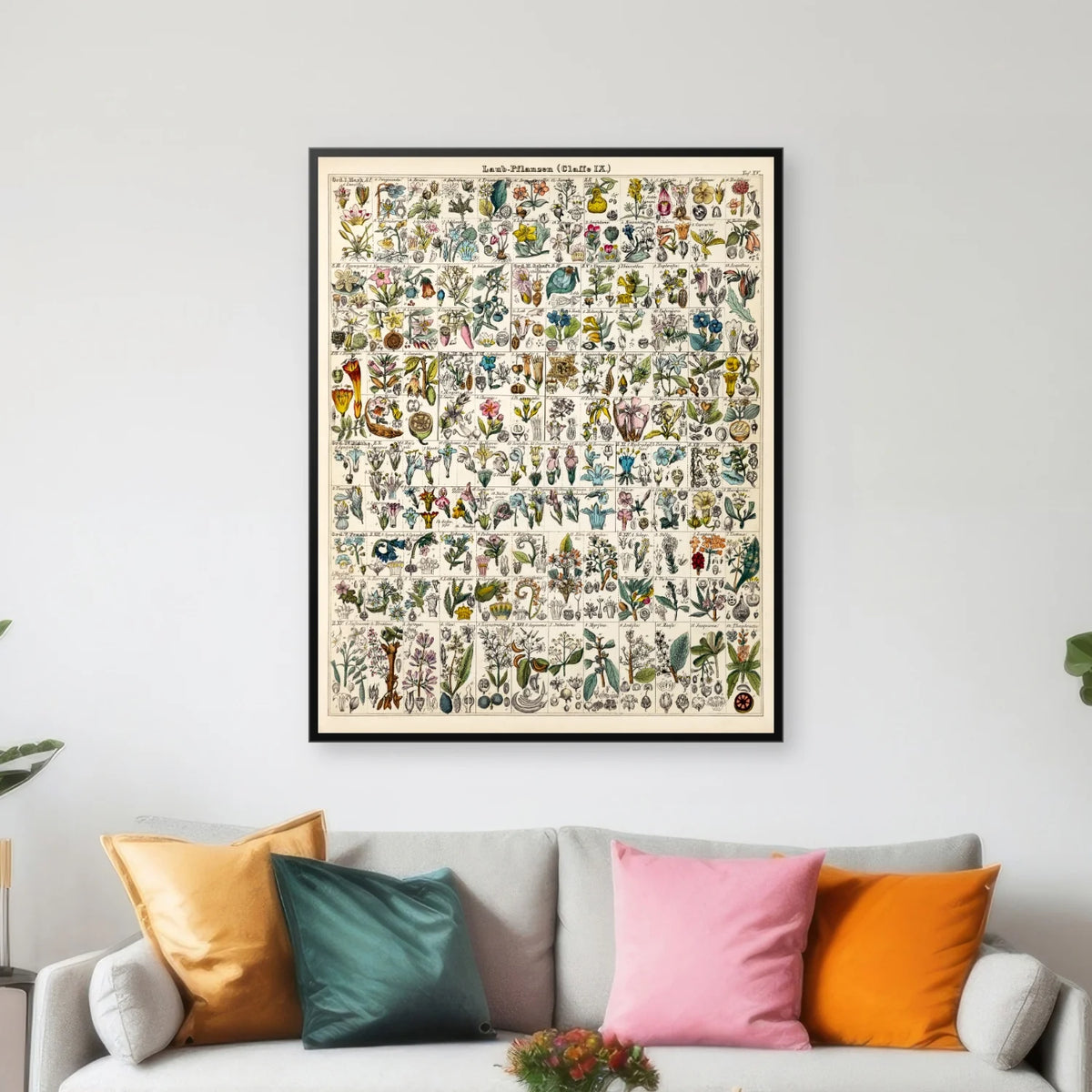 Bladplanter 1846 - Botanisk tavle - 56×70 cm – billede 2