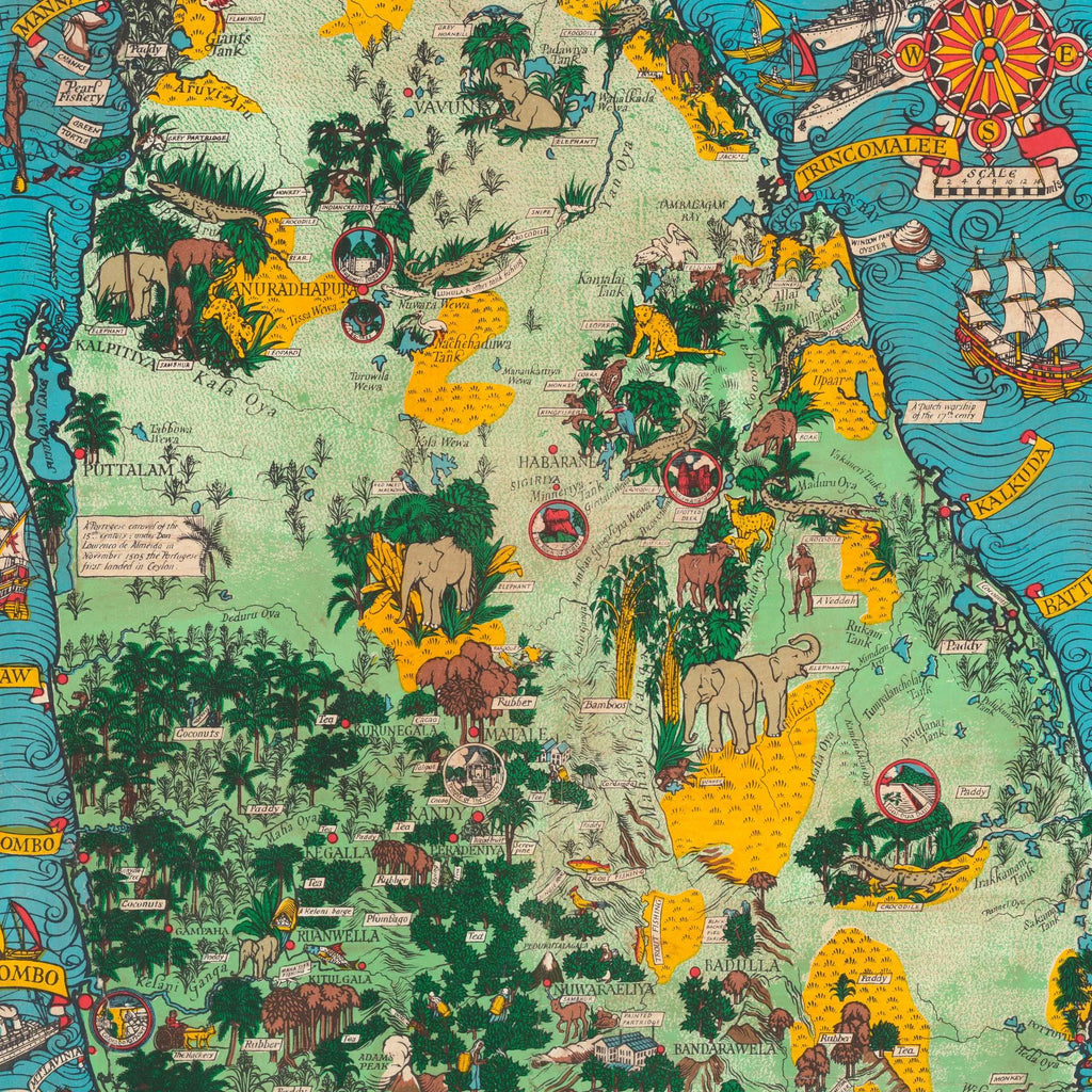 Ceylon Te 1933 - Billedkort – billede 4