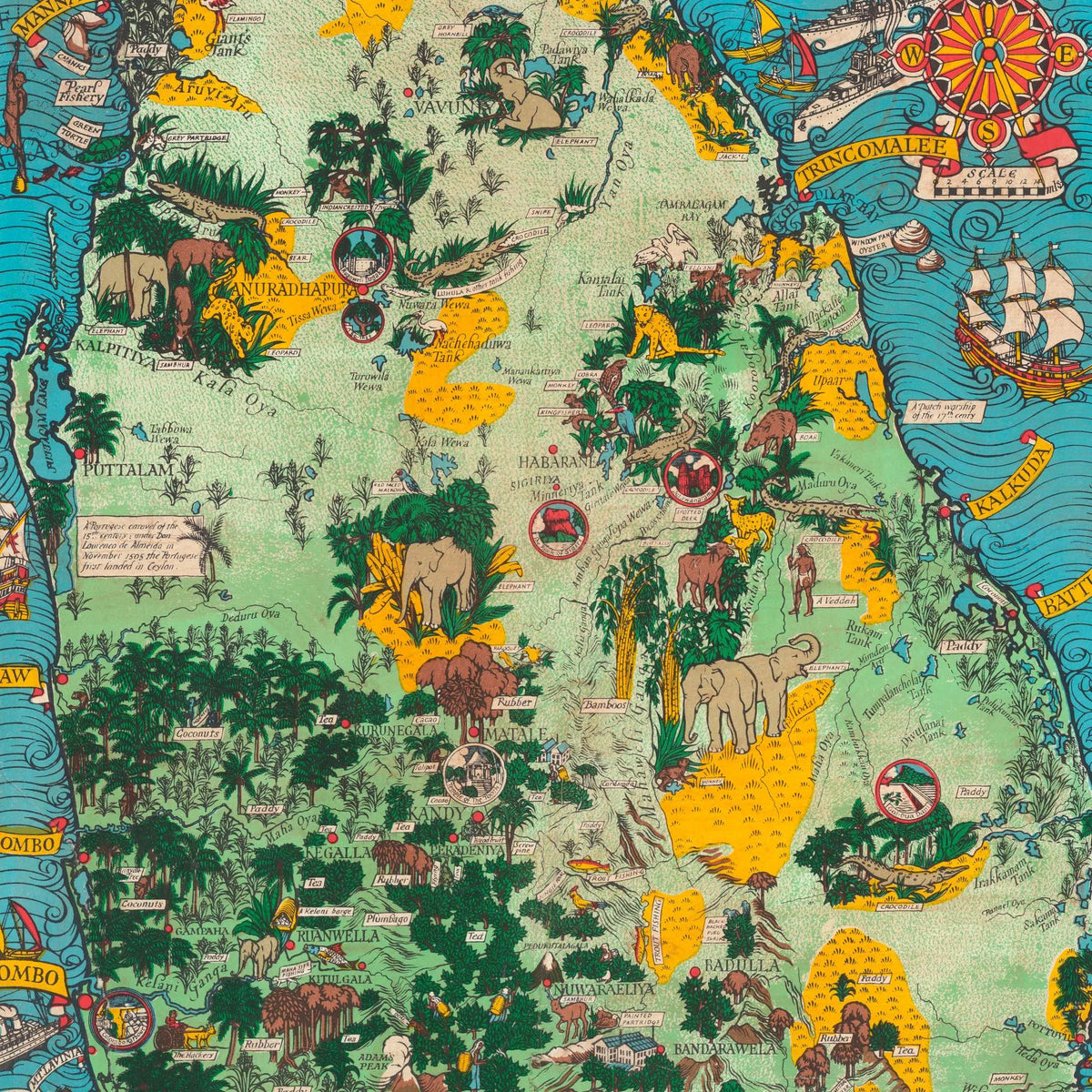 Ceylon Te 1933 - Billedkort – billede 4