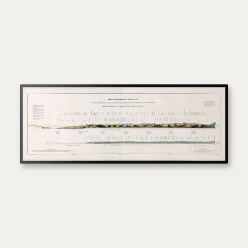 Alpine Profile 1895 - Bjergkort - 100×38 cm – billede 1
