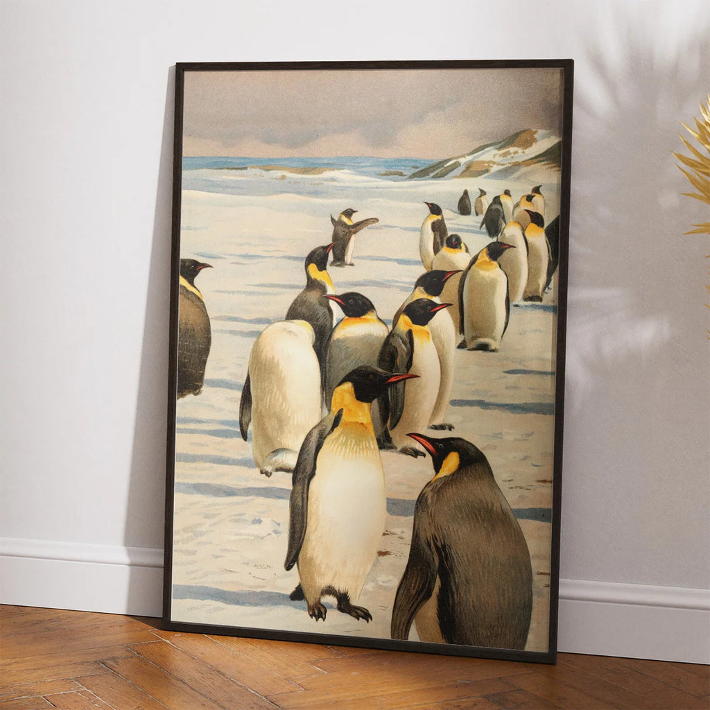 Emperor Penguin 1930 - Naturillustration – billede 2