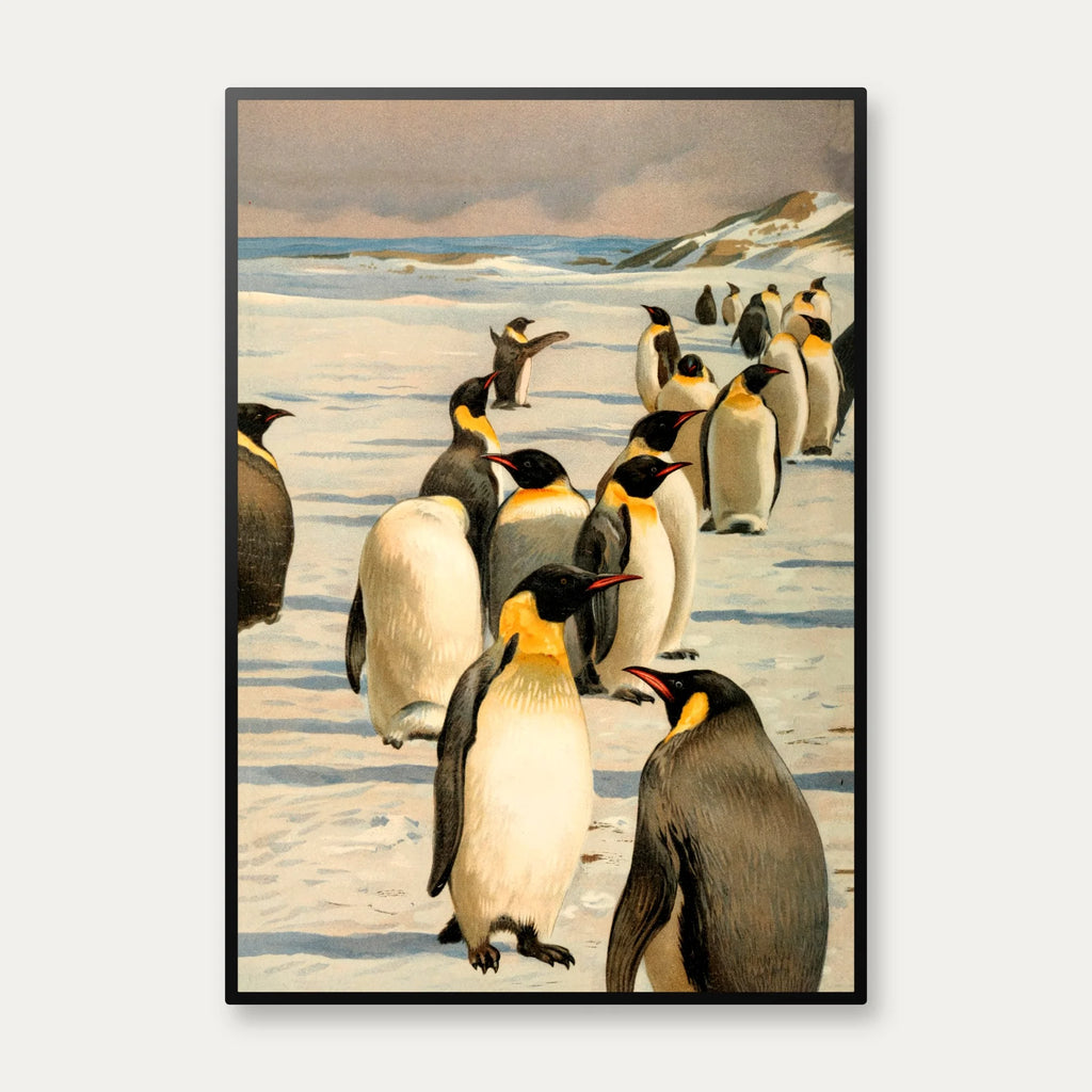 Emperor Penguin 1930 - Naturillustration – billede 1