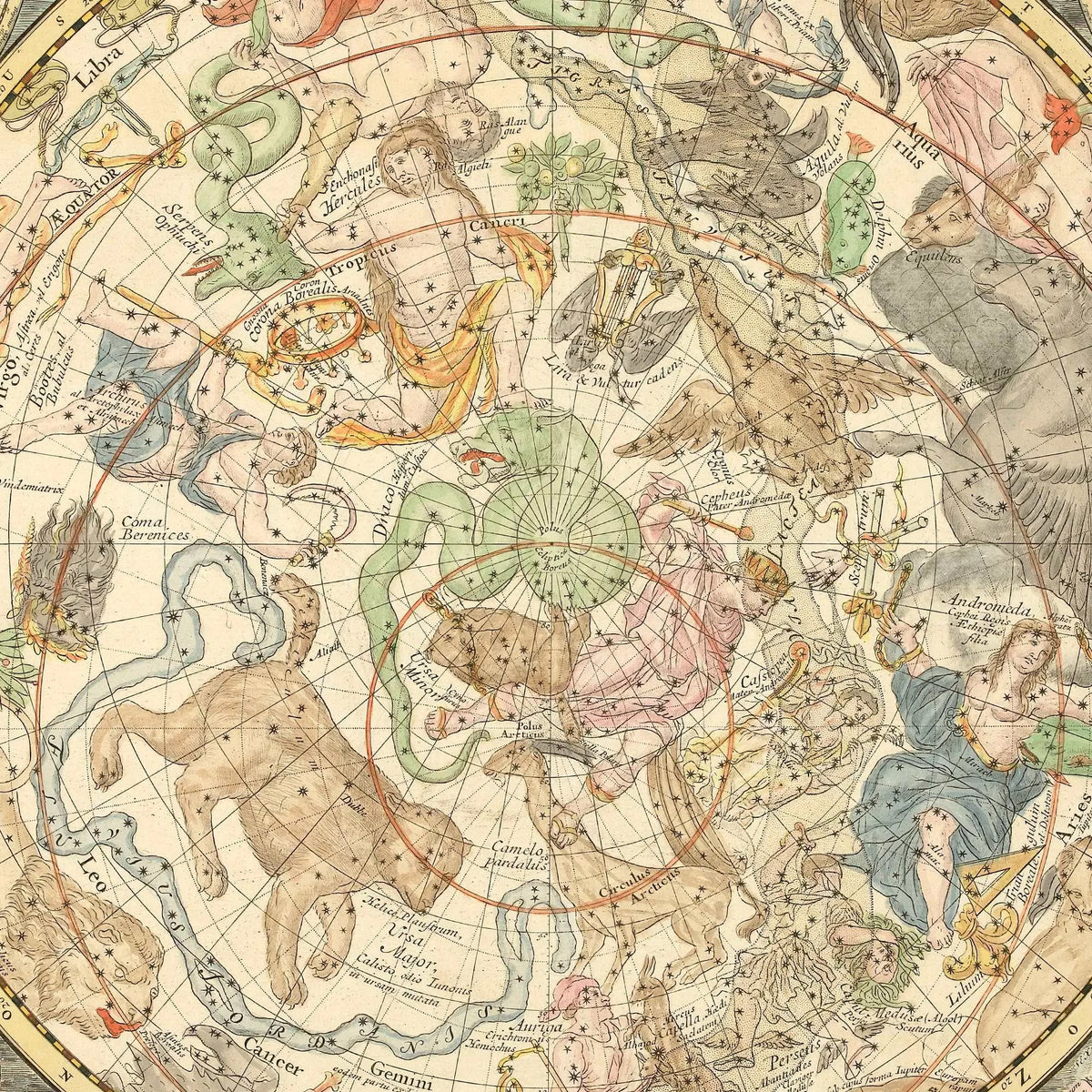 Stjernekort Nordlige Himmel 1730 - Astronomikort - 80×66 cm – billede 4