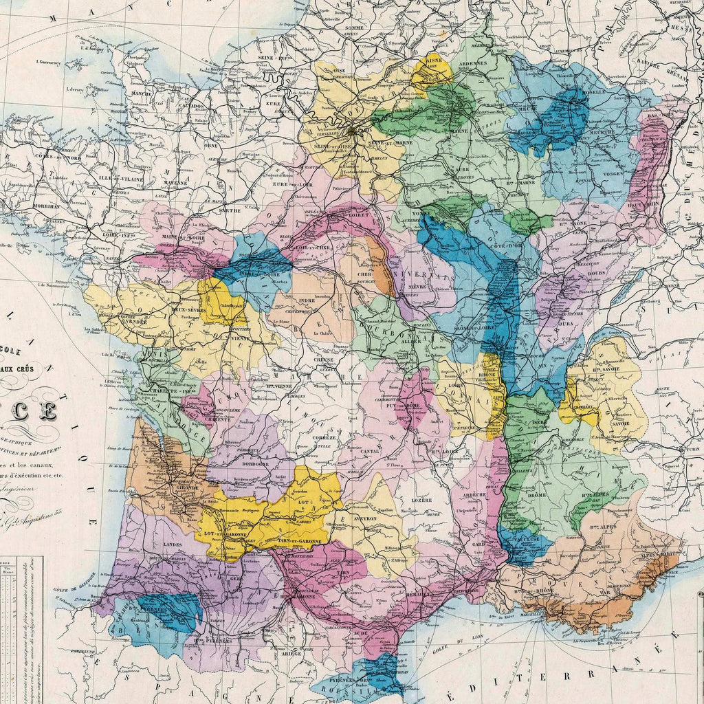 France Vinicole 1861 - Vinkort – billede 4