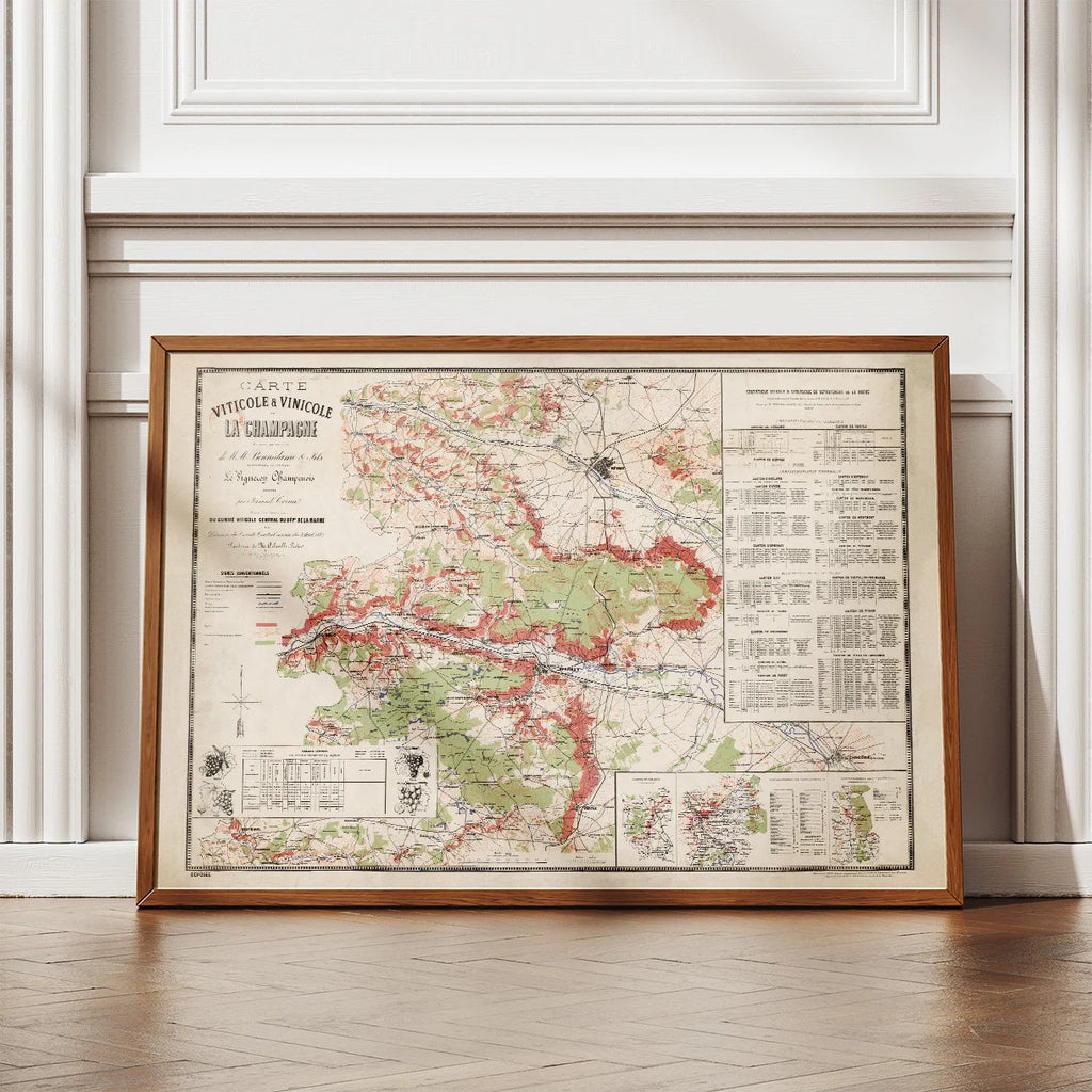 Champagne Vinicole 1884 - Vinkort – billede 2