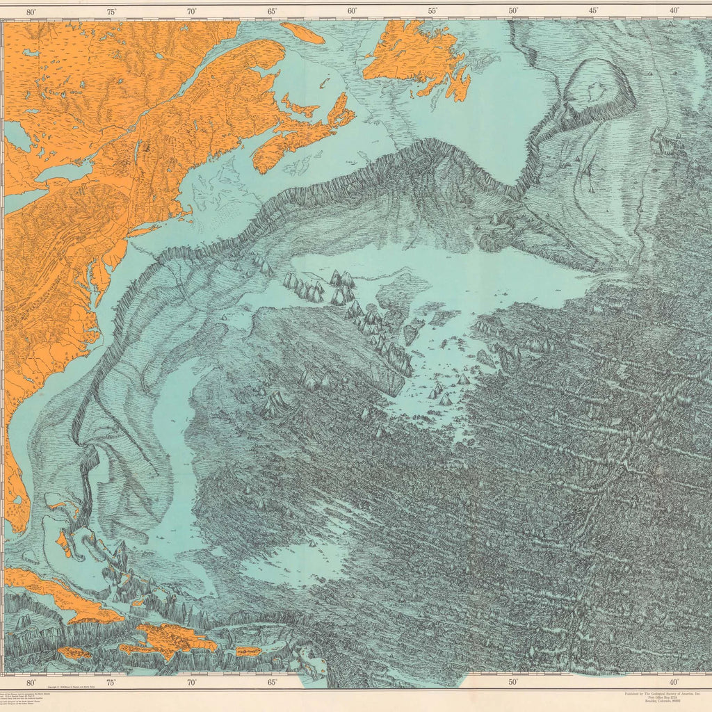 Nordatlanten 1968 - Fysiografisk diagram - 100×54 cm – billede 4