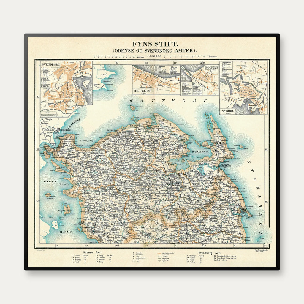 Odense Amt 1900 - Historisk amt-kort - 70×65 cm – billede 1