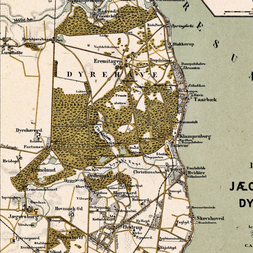 Jægersborg Dyrehave 1882 - Nordsjælland – billede 4