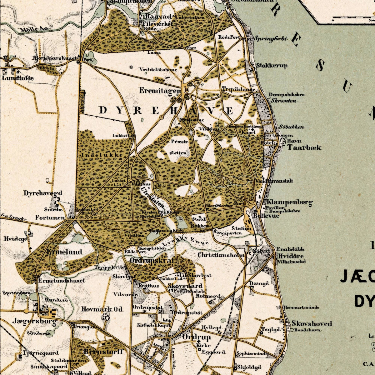 Jægersborg Dyrehave 1882 - Nordsjælland – billede 4