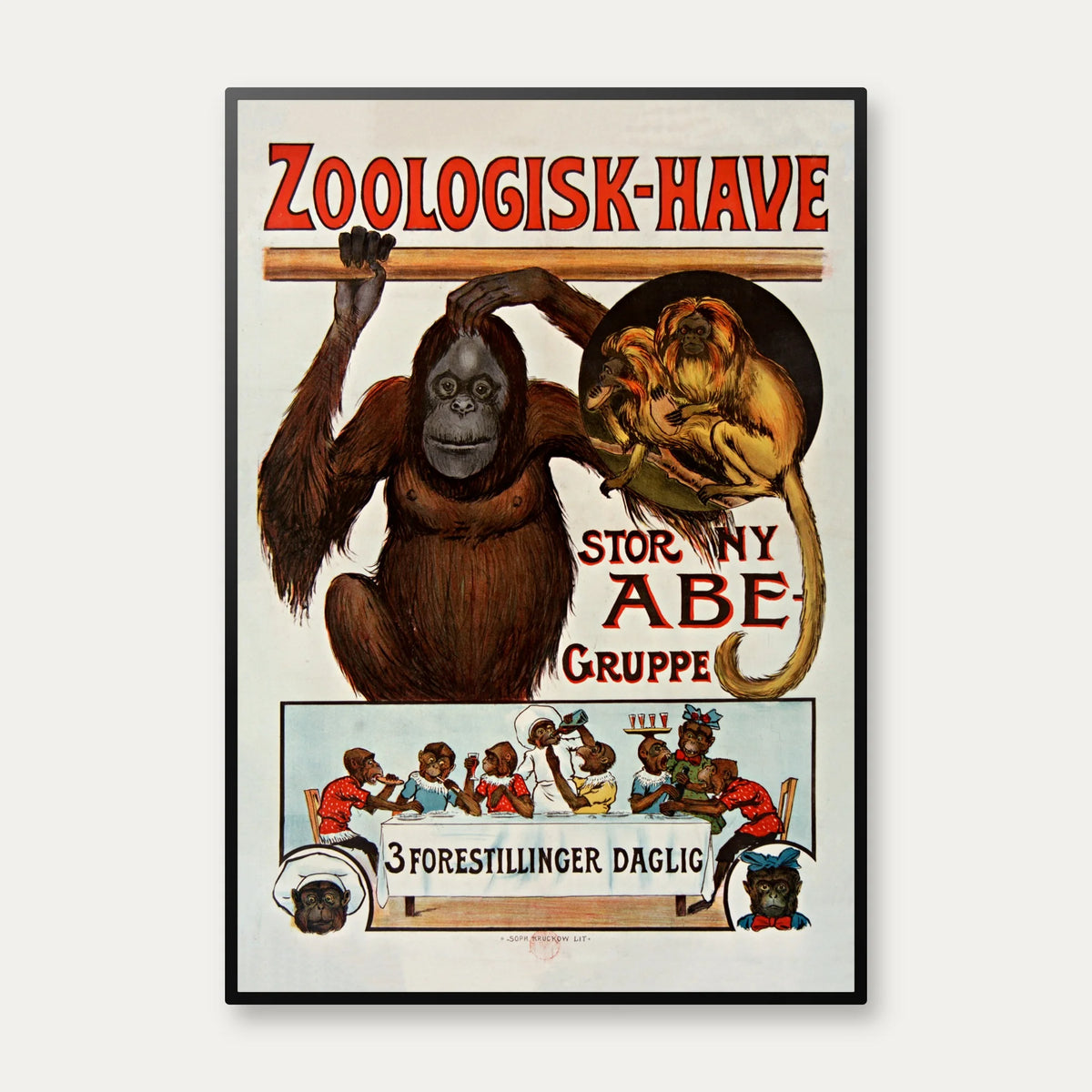 Zoologisk Have 1895 - Reklameplakat – billede 1