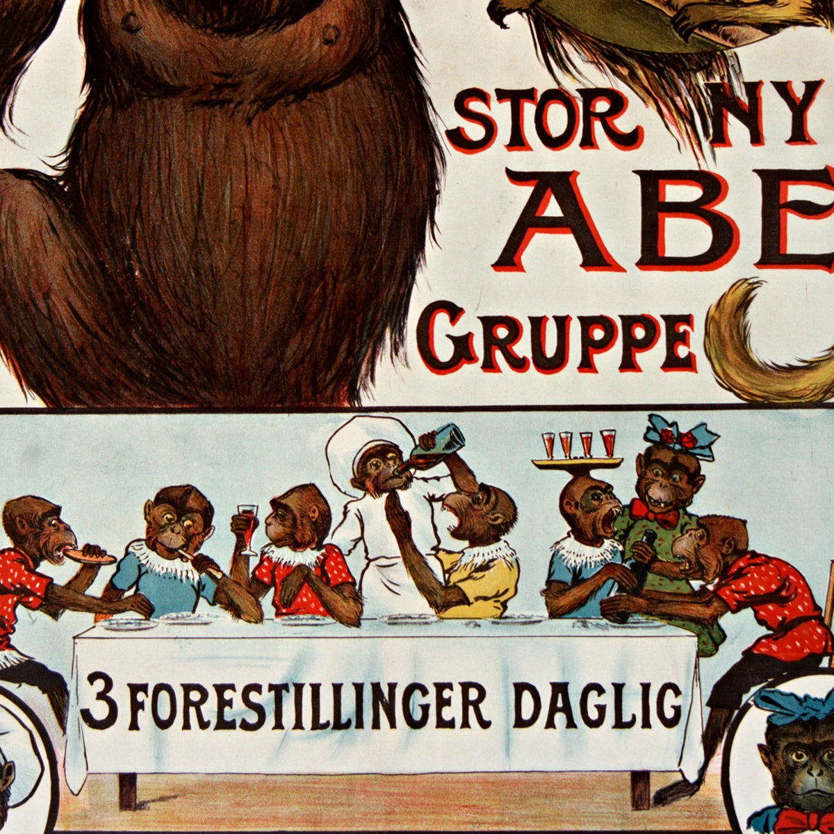 Zoologisk Have 1895 - Reklameplakat – billede 4