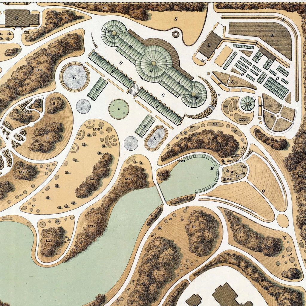 Botanisk Have 1874 - København Universitetet – billede 4