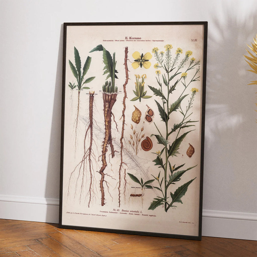 Takkeklap 1913 - Botanisk plakat – billede 2