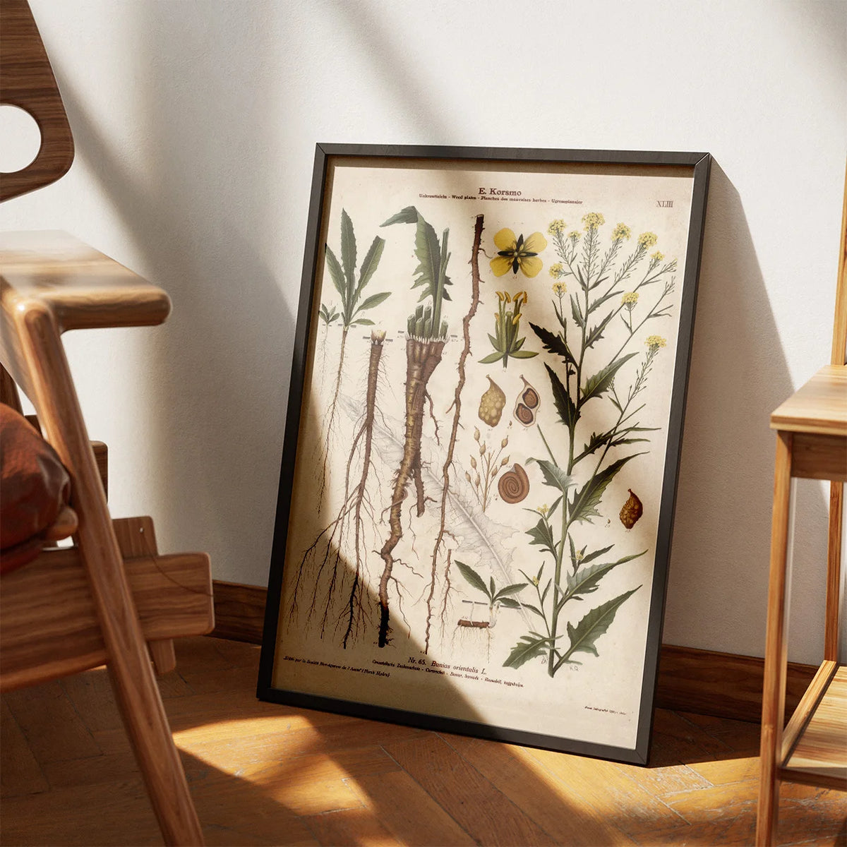 Takkeklap 1913 - Botanisk plakat – billede 3