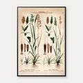 Almindelig hejre og hejregræs 1913 - Botanisk plakat – billede 1