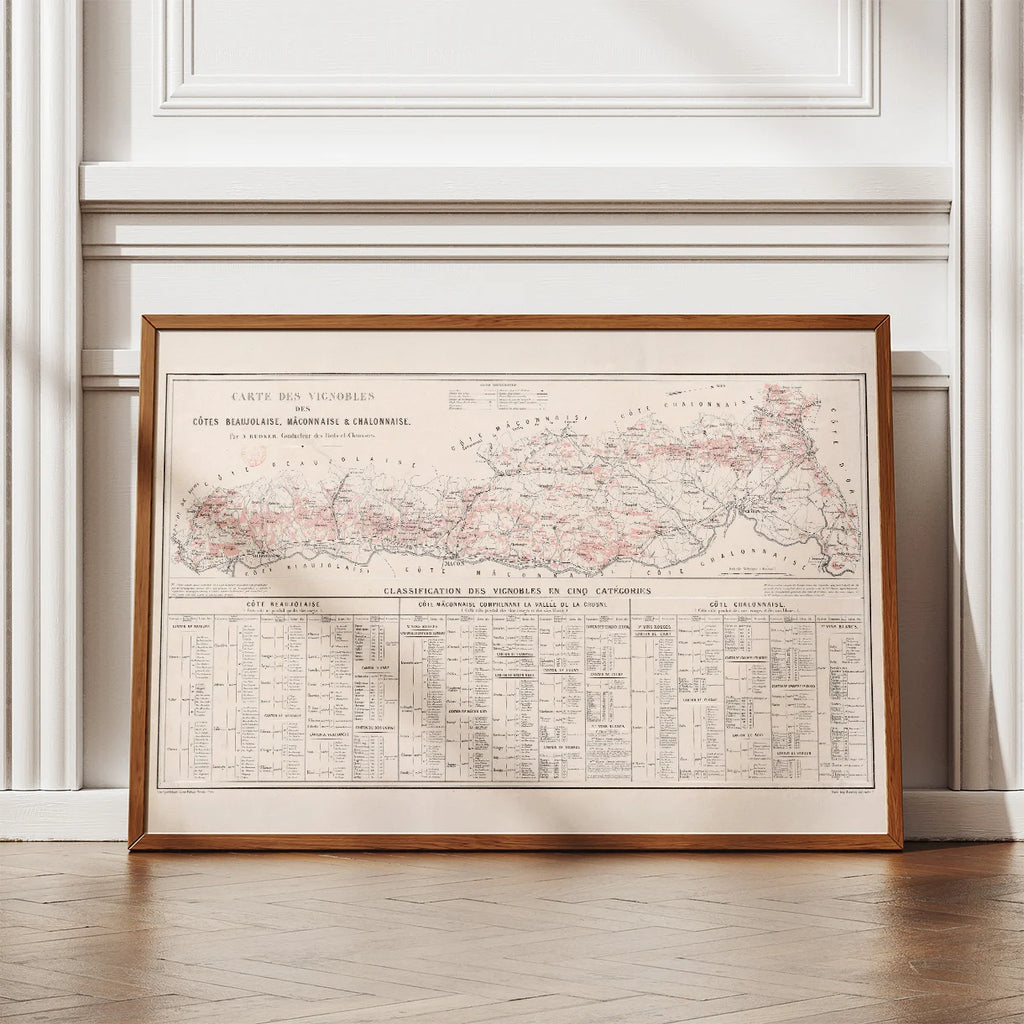 Carte des vignobles des côtes Beaujolaises 1869 - Vinkort – billede 2