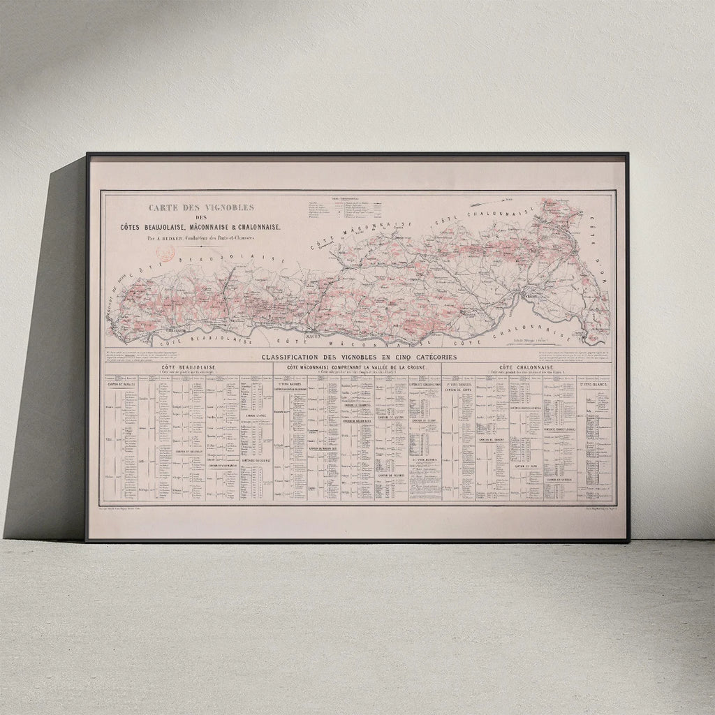 Carte des vignobles des côtes Beaujolaises 1869 - Vinkort – billede 3