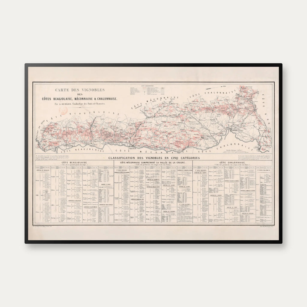 Carte des vignobles des côtes Beaujolaises 1869 - Vinkort – billede 1