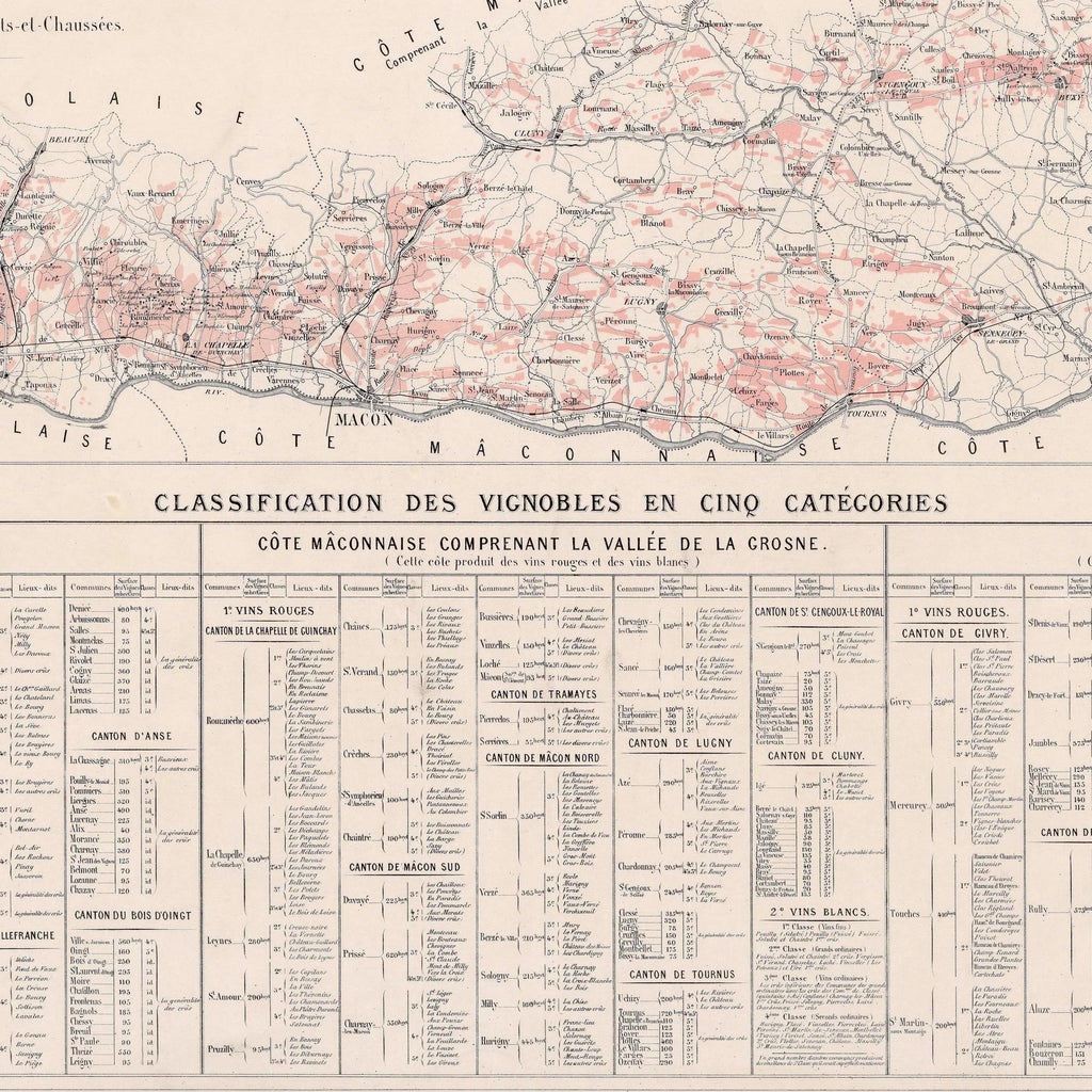 Carte des vignobles des côtes Beaujolaises 1869 - Vinkort – billede 4