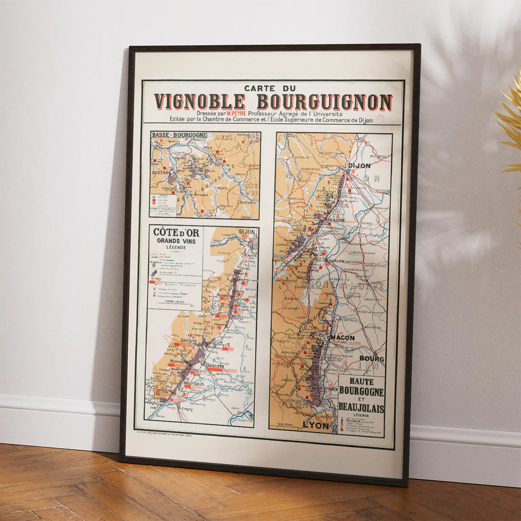 Carte du Vignoble Bourguignon 1934 - Vinkort – billede 2