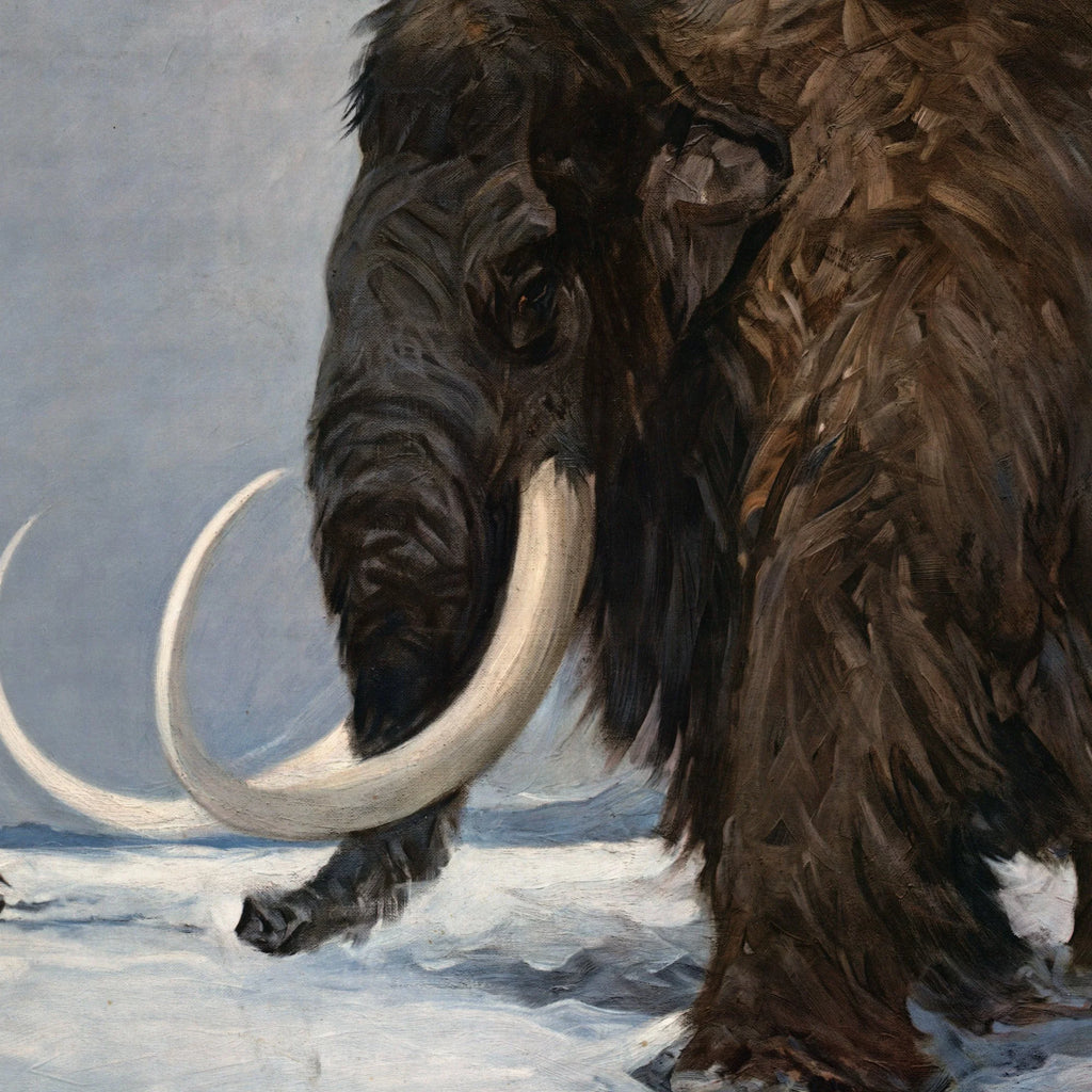 Mammut - Fortidsdyr 1935 - Videnskabelig tavle – billede 4