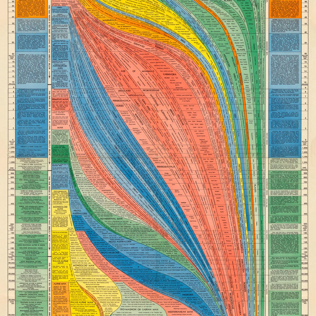 Civilisationens Udvikling 1942 - Historisk tidslinje - 51×135 cm – billede 4