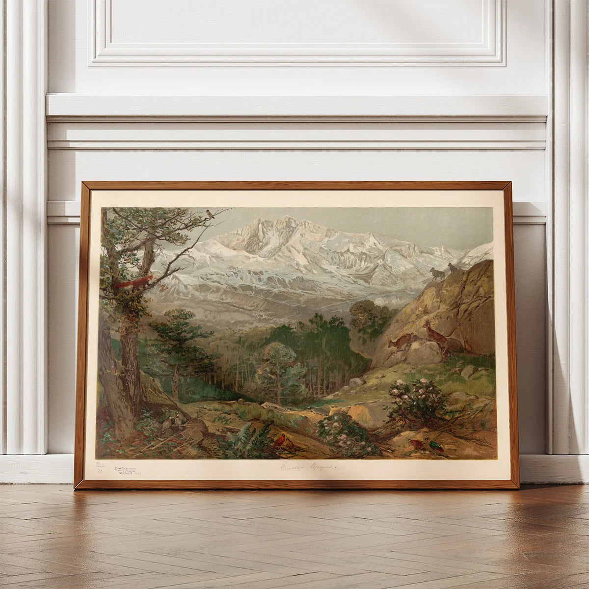 Himalaya-bjergene 1920 - Geografisk planche – billede 2