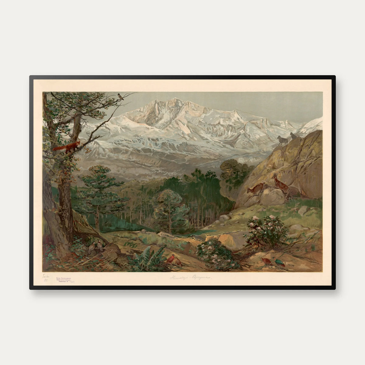 Himalaya-bjergene 1920 - Geografisk planche – billede 1