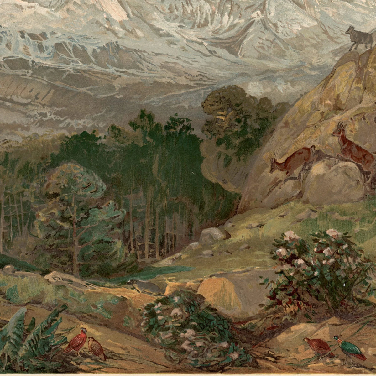 Himalaya-bjergene 1920 - Geografisk planche – billede 4