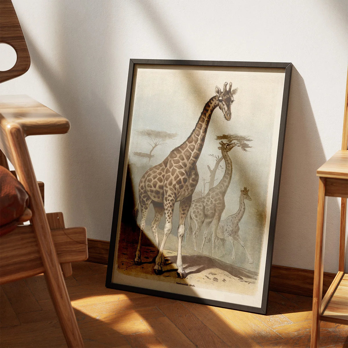 Giraf 1890 - Zoologisk planche – billede 3