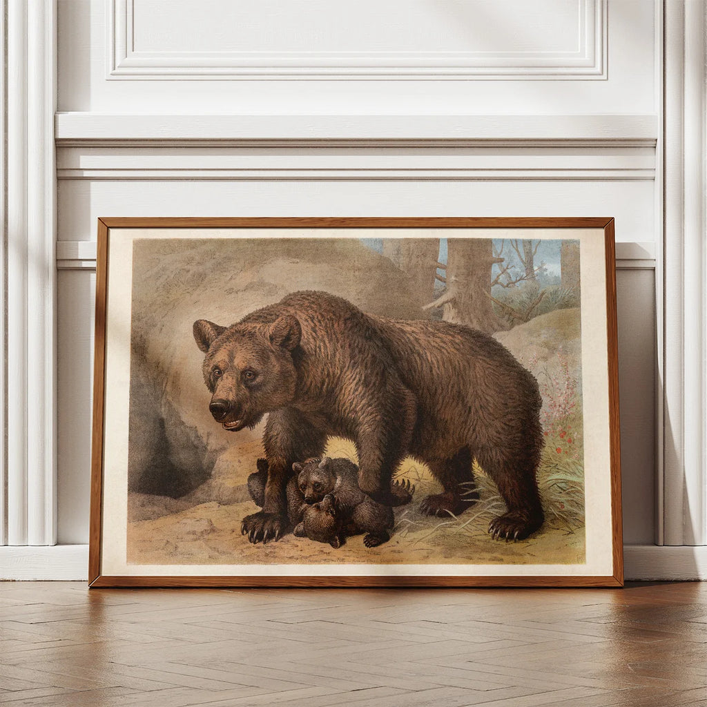 Brun bjørn 1890 - Zoologisk planche – billede 2