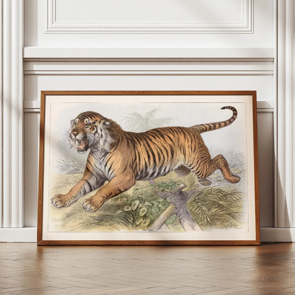 Tiger 1890 - Zoologisk planche – billede 2
