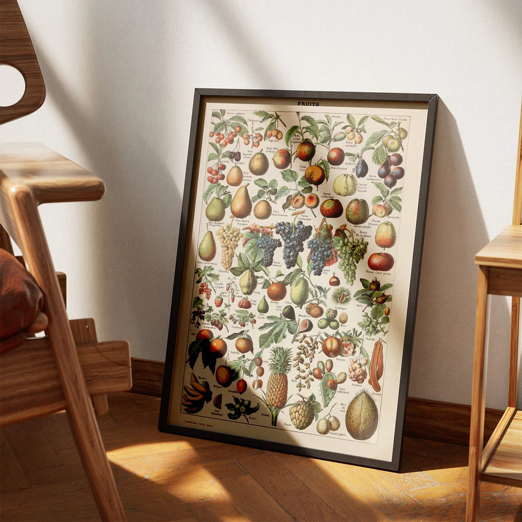 Frugter - Botanisk planche af Adolphe Millot fra 1932 – billede 3